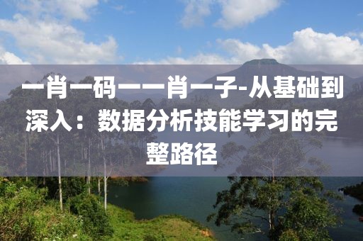 一肖一碼一一肖一子-從基礎(chǔ)到深入：數(shù)據(jù)分析技能學(xué)習(xí)的完整路徑