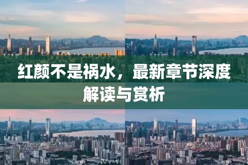 紅顏不是禍水，最新章節(jié)深度解讀與賞析
