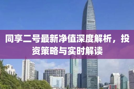 同享二號(hào)最新凈值深度解析，投資策略與實(shí)時(shí)解讀