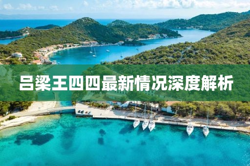 呂梁王四四最新情況深度解析
