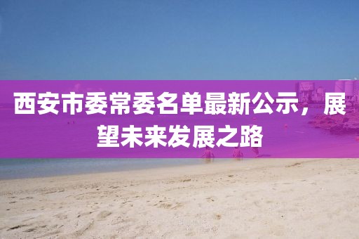 西安市委常委名單最新公示，展望未來發(fā)展之路
