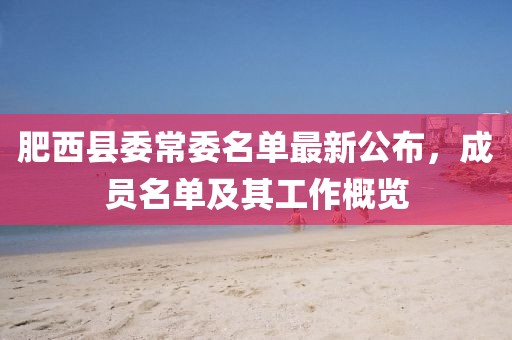 肥西縣委常委名單最新公布，成員名單及其工作概覽