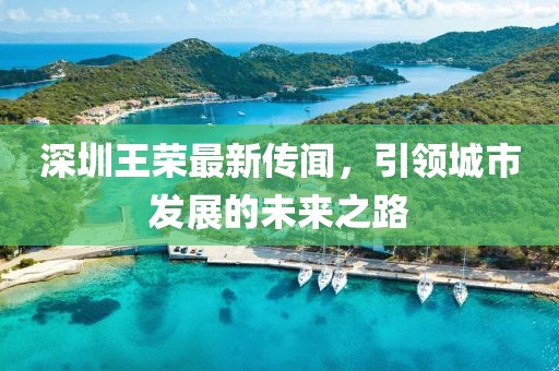 深圳王榮最新傳聞，引領(lǐng)城市發(fā)展的未來之路