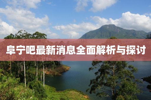 阜寧吧最新消息全面解析與探討