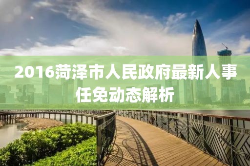 2016菏澤市人民政府最新人事任免動態(tài)解析
