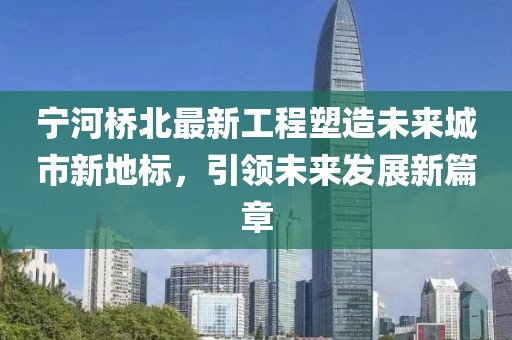 寧河橋北最新工程塑造未來城市新地標(biāo)，引領(lǐng)未來發(fā)展新篇章