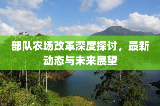 部隊(duì)農(nóng)場(chǎng)改革深度探討，最新動(dòng)態(tài)與未來展望
