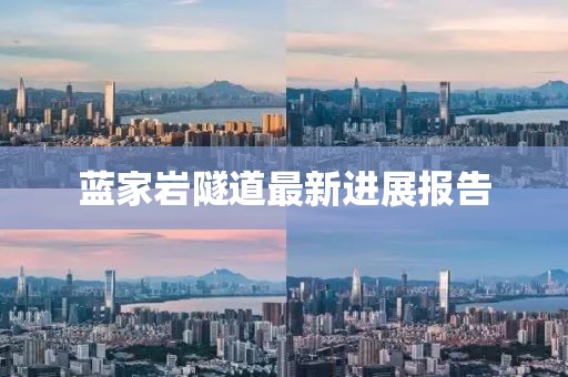 藍(lán)家?guī)r隧道最新進(jìn)展報(bào)告