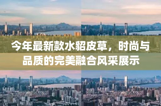 今年最新款水貂皮草，時尚與品質(zhì)的完美融合風(fēng)采展示
