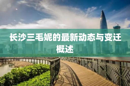 長沙三毛妮的最新動態(tài)與變遷概述
