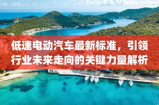 低速電動(dòng)汽車最新標(biāo)準(zhǔn)，引領(lǐng)行業(yè)未來走向的關(guān)鍵力量解析