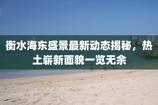 衡水海東盛景最新動(dòng)態(tài)揭秘，熱土嶄新面貌一覽無余