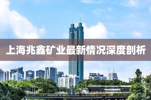 上海兆鑫礦業(yè)最新情況深度剖析