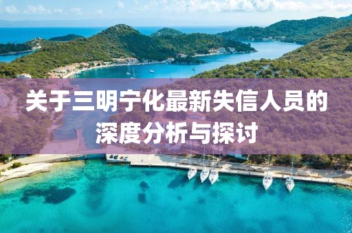 關(guān)于三明寧化最新失信人員的深度分析與探討