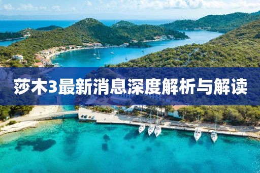 莎木3最新消息深度解析與解讀