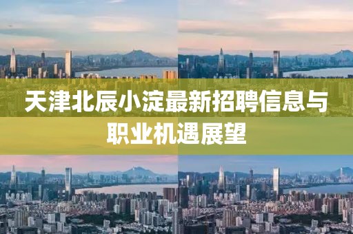 天津北辰小淀最新招聘信息與職業(yè)機(jī)遇展望
