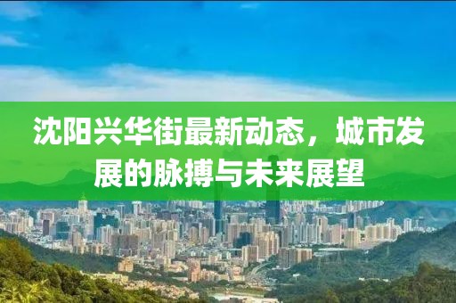 沈陽興華街最新動態(tài)，城市發(fā)展的脈搏與未來展望