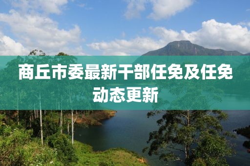 商丘市委最新干部任免及任免動(dòng)態(tài)更新
