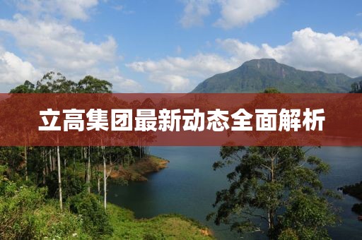 立高集團(tuán)最新動(dòng)態(tài)全面解析