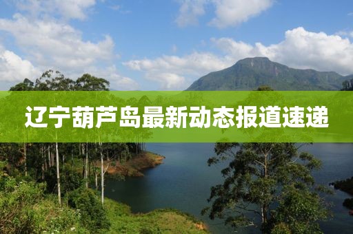 遼寧葫蘆島最新動態(tài)報道速遞