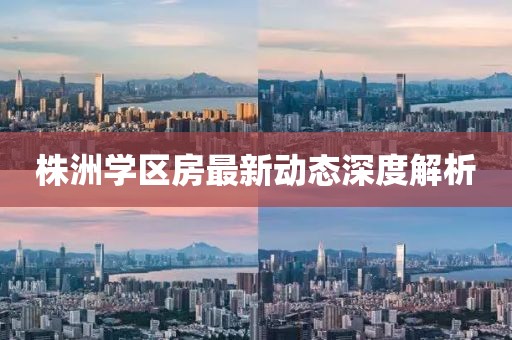 株洲學(xué)區(qū)房最新動(dòng)態(tài)深度解析