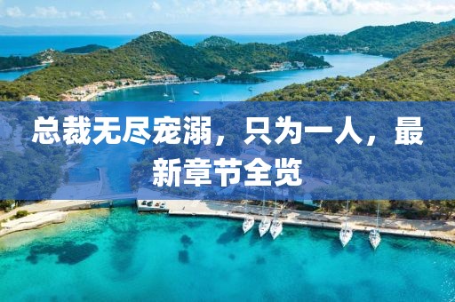 總裁無盡寵溺，只為一人，最新章節(jié)全覽