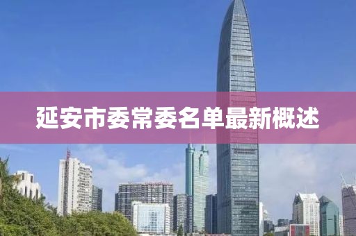 延安市委常委名單最新概述