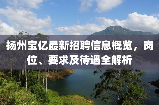 揚州寶億最新招聘信息概覽，崗位、要求及待遇全解析