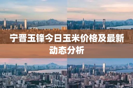 寧晉玉鋒今日玉米價(jià)格及最新動(dòng)態(tài)分析