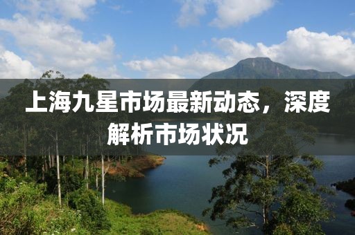 上海九星市場最新動態(tài)，深度解析市場狀況