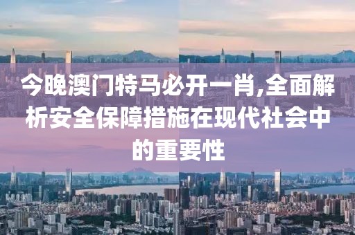 今晚澳門特馬必開一肖,全面解析安全保障措施在現(xiàn)代社會(huì)中的重要性
