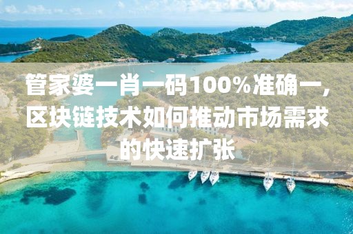管家婆一肖一碼100%準(zhǔn)確一,區(qū)塊鏈技術(shù)如何推動(dòng)市場(chǎng)需求的快速擴(kuò)張