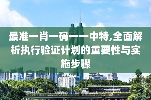 最準一肖一碼一一中特,全面解析執(zhí)行驗證計劃的重要性與實施步驟