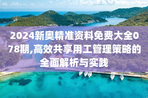 2024新奧精準(zhǔn)資料免費(fèi)大全078期,高效共享用工管理策略的全面解析與實(shí)踐