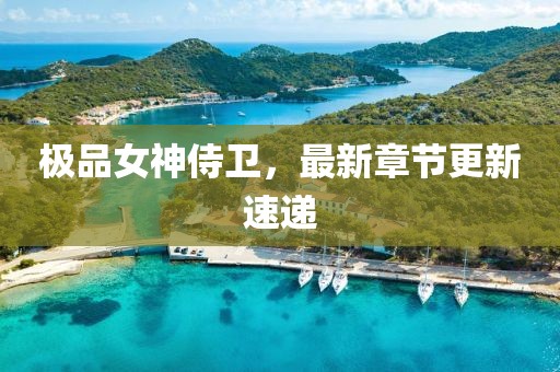 極品女神侍衛(wèi)，最新章節(jié)更新速遞