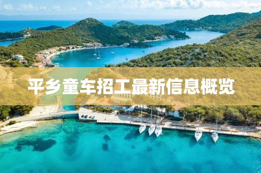 平鄉(xiāng)童車招工最新信息概覽