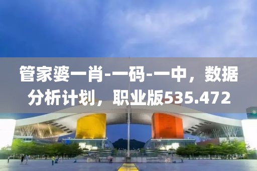 管家婆一肖-一碼-一中，數(shù)據(jù)分析計(jì)劃，職業(yè)版535.472