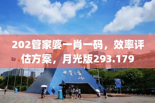 202管家婆一肖一碼，效率評(píng)估方案，月光版293.179