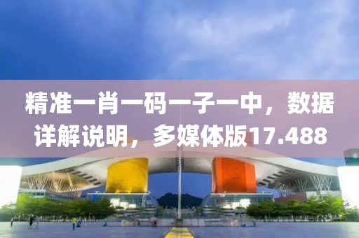 精準(zhǔn)一肖一碼一子一中，數(shù)據(jù)詳解說(shuō)明，多媒體版17.488