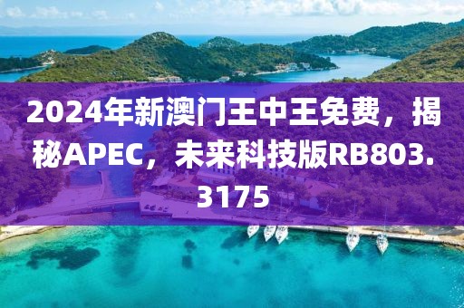 2024年新澳門王中王免費(fèi)，揭秘APEC，未來科技版RB803.3175