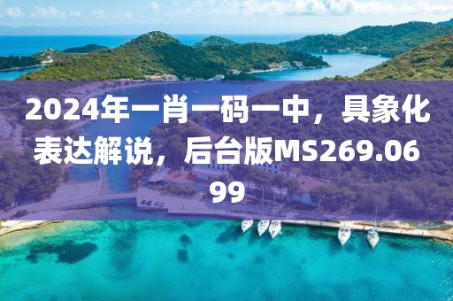 2024年一肖一碼一中，具象化表達解說，后臺版MS269.0699