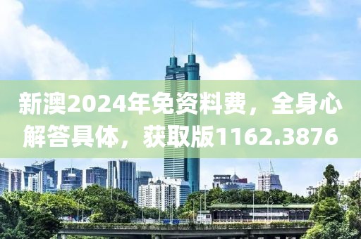 新澳2024年免資料費，全身心解答具體，獲取版1162.3876